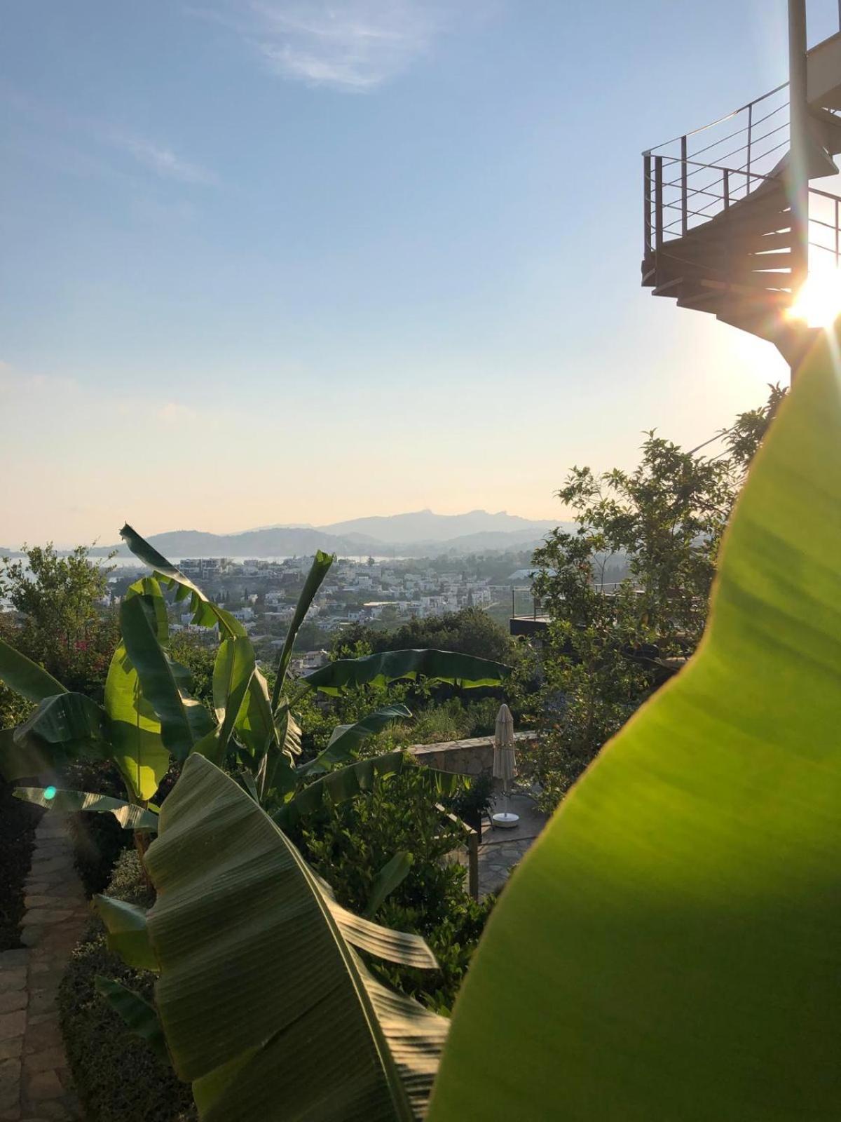 Spektr Boutique Hotel Yalikavak Bagian luar foto