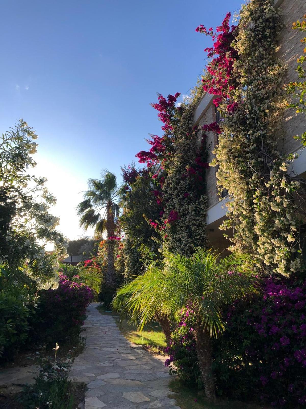 Spektr Boutique Hotel Yalikavak Bagian luar foto